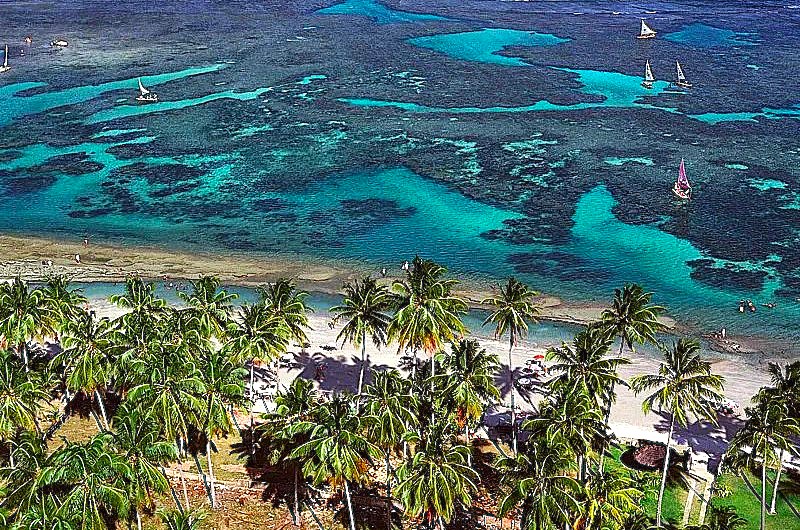 UMA VIAGEM HISTÓRIA À PORTO DEGALINHAS uma-viagem-historia-a-porto-degalinhas
